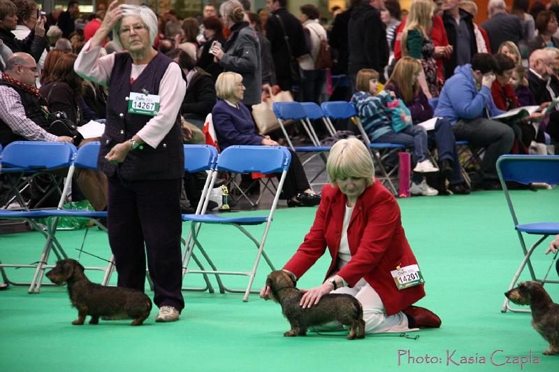 Crufts2011_2 1419.jpg